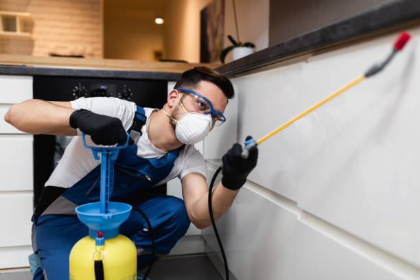 Professional Pest Control in Dewart, PA