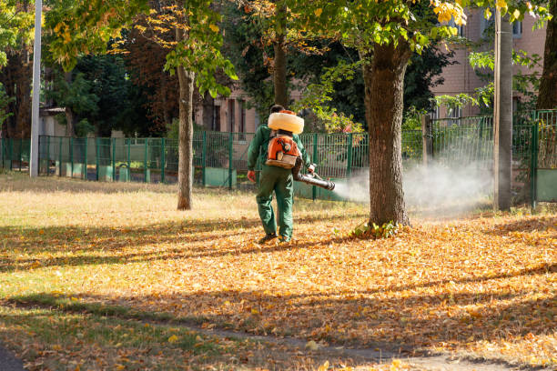 Best Pest Control Treatment  in Dewart, PA